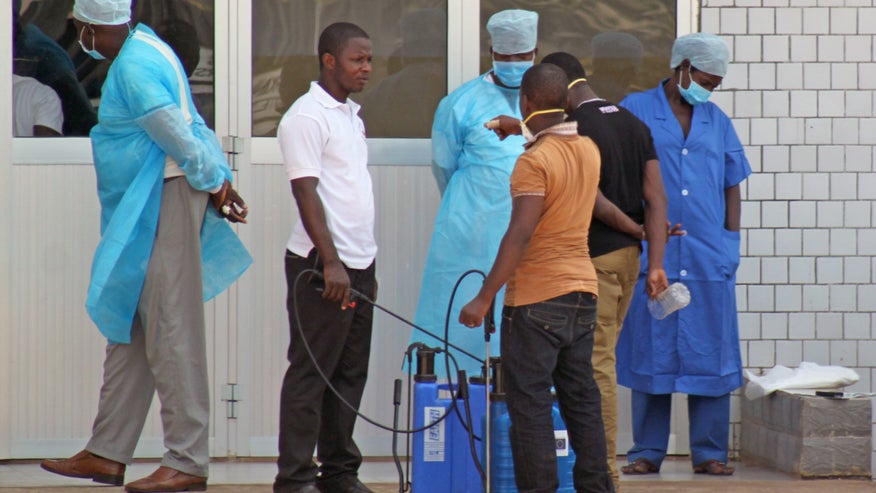 Ebola New Strain_Grus.jpg